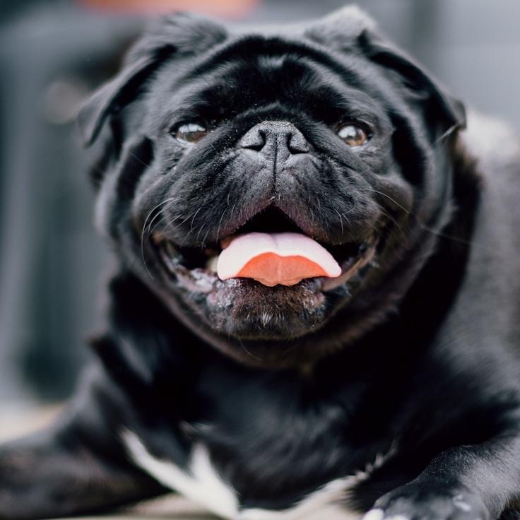 Kaveri Mehta, Lead Design Curator at MossRidgeHarbor, reviewing corporate floral arrangements